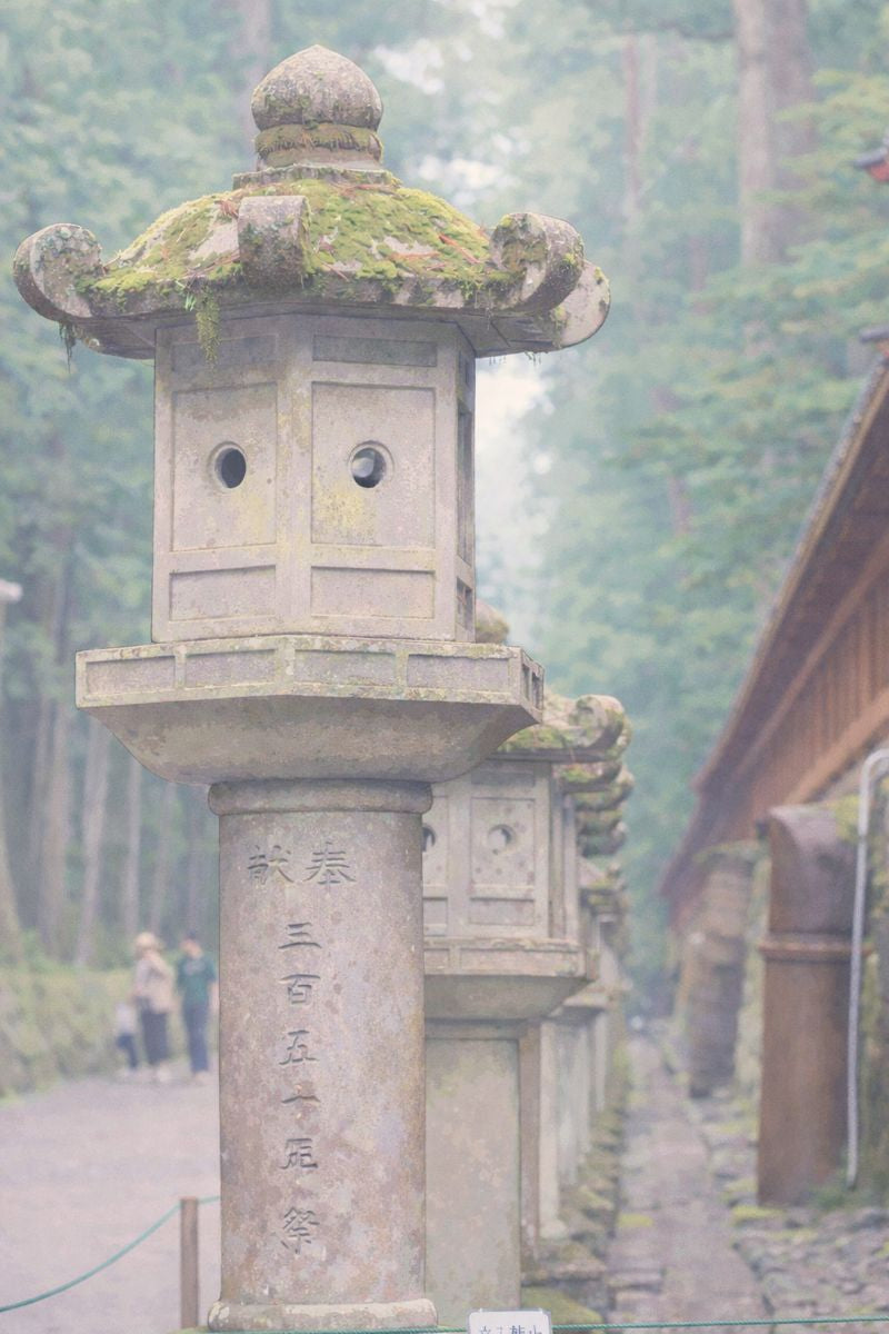 Illustration - Pack 20 photos